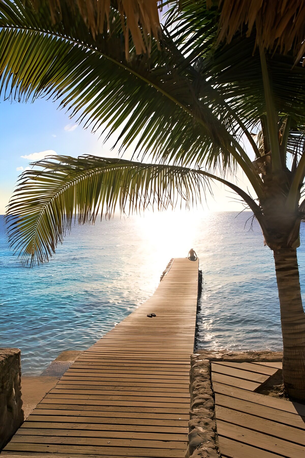 Muelle de madera bajo la palmera