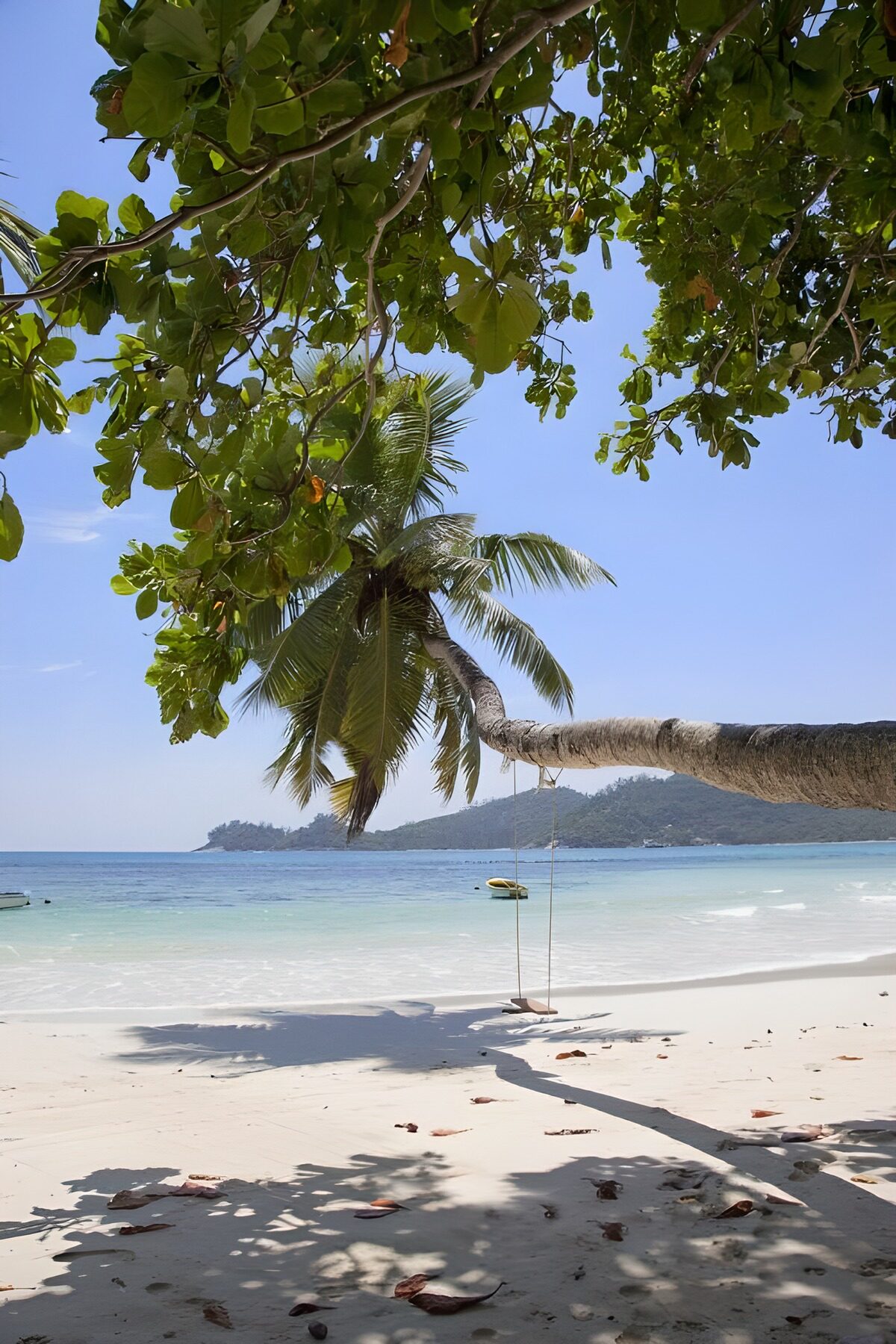 TPES53738: Columpio a la sombra en una playa tropical