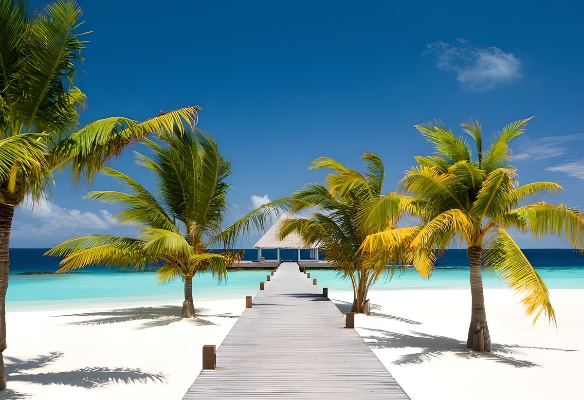 TPES49874: Playa turquesa con pasarela y palmeras