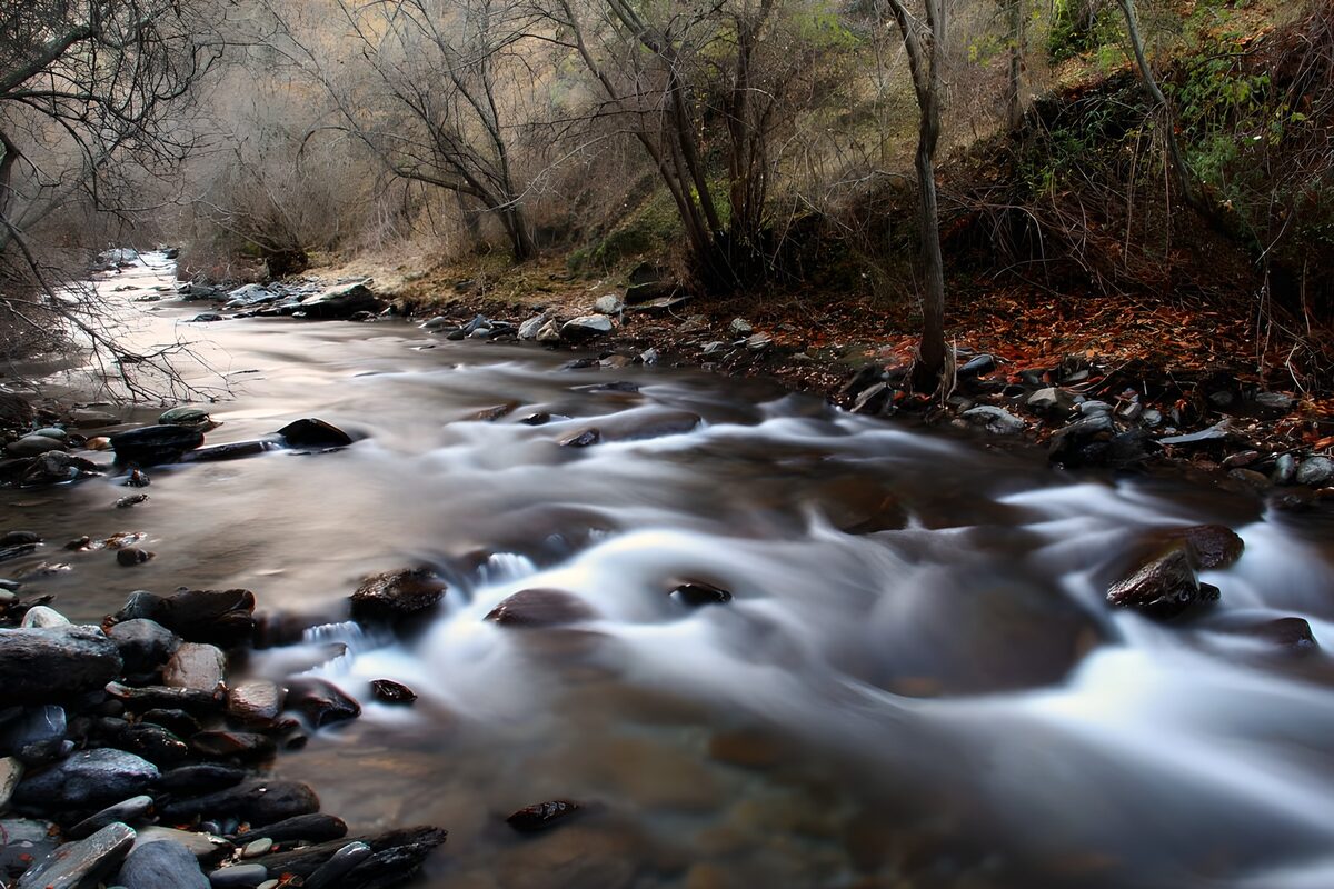 Arroyo entre rocas y árboles desnudos