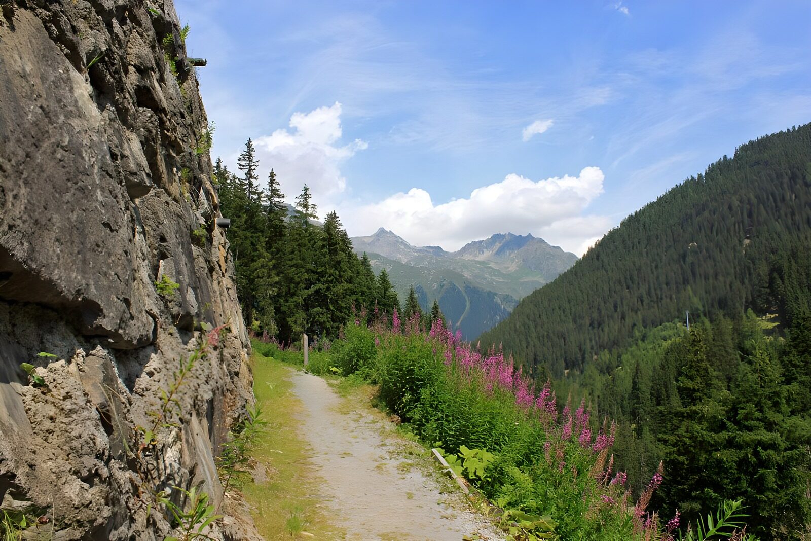 TPES62880: Sendero de montaña entre roca y flores
