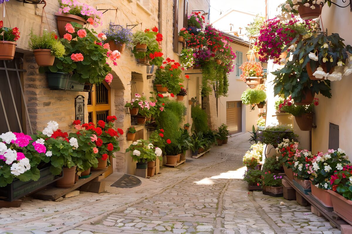 Callejón de piedra y flores al sol