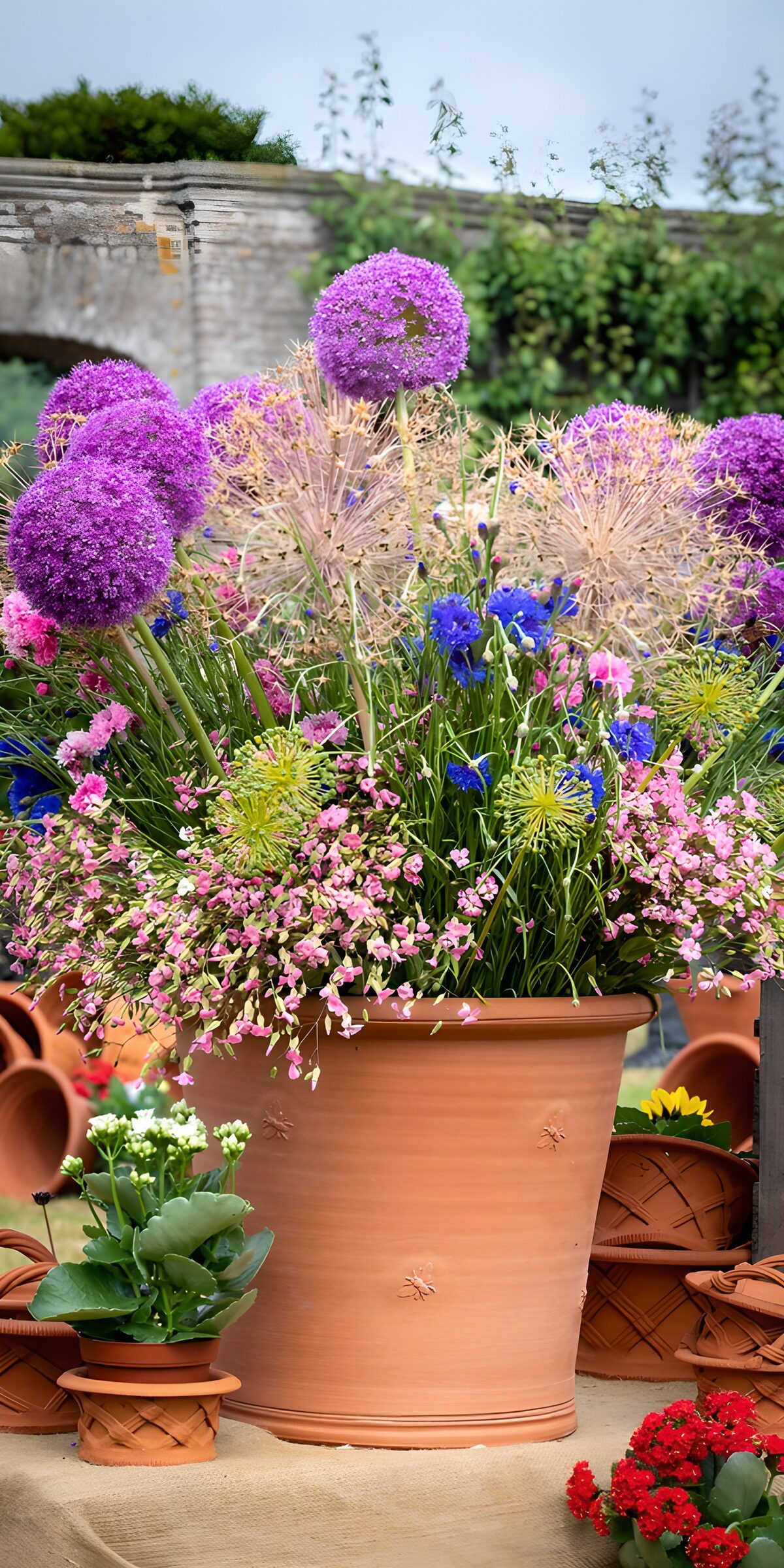 TPES58580: Terracota rebosante de flores moradas