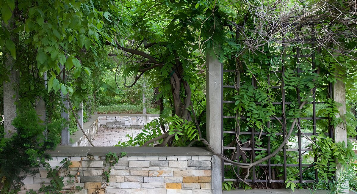 Pérgola verde tras un muro de piedra