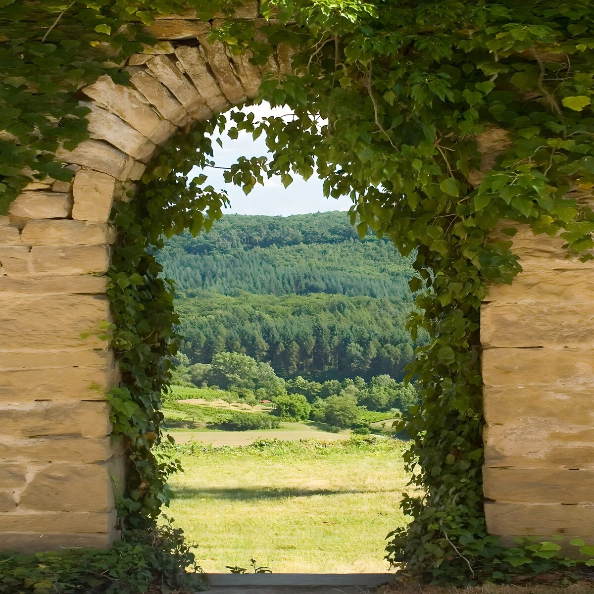 TPES18291: Arco de piedra con vistas al verde