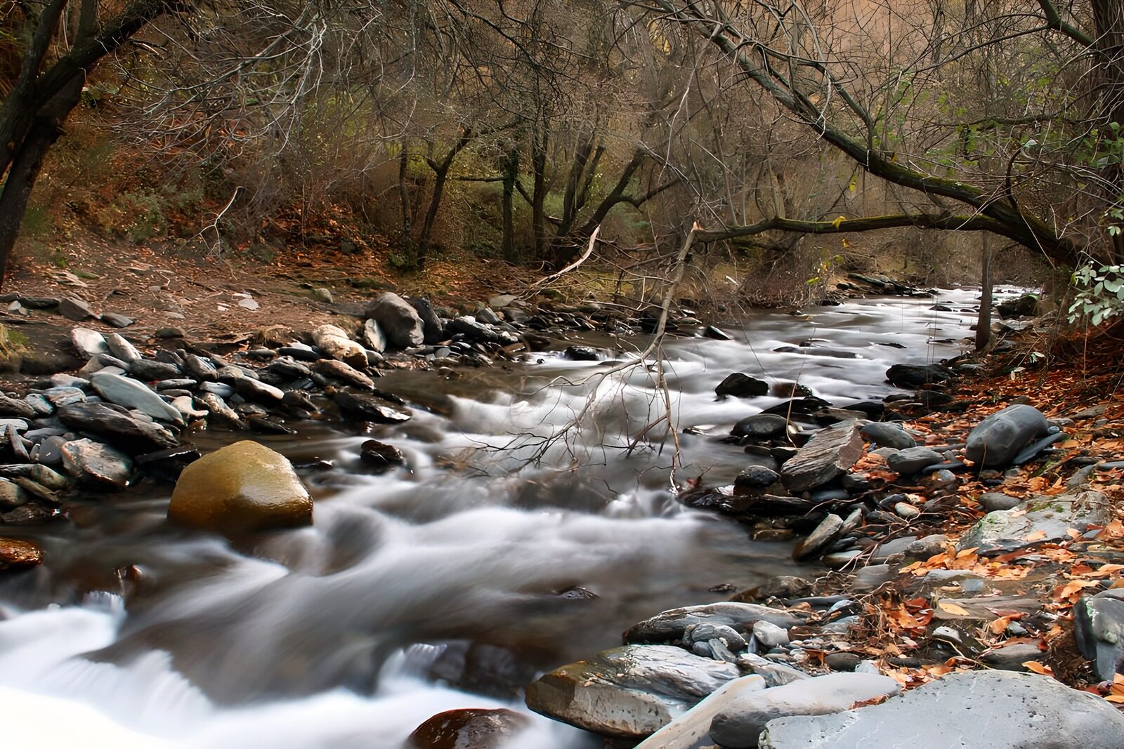 TPES64493: Arroyo entre rocas y hojas de otoño