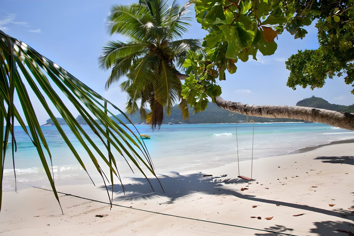 TPES12621: Playa tropical con palmeras y columpio