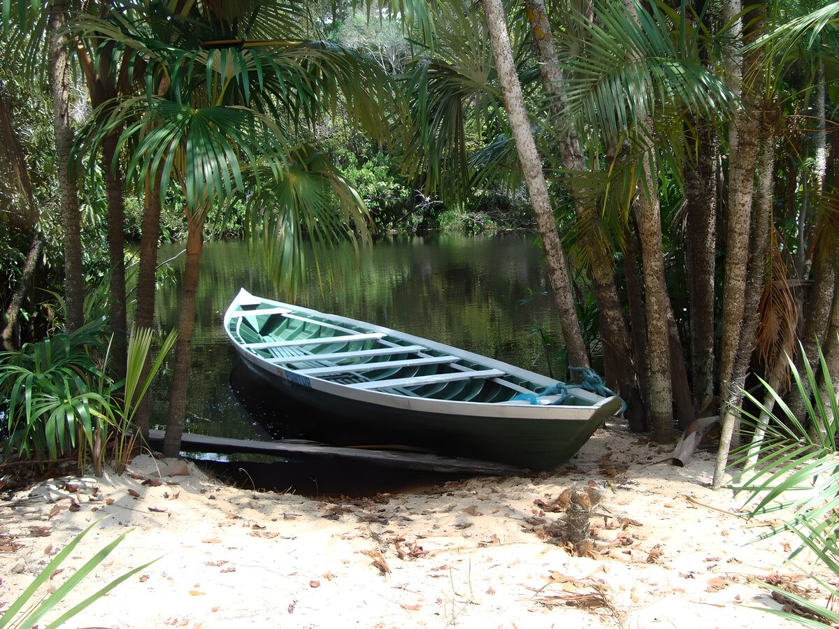 Barca verde a la sombra de las palmeras