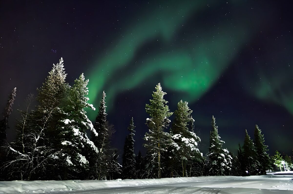 Aurora boreal sobre un bosque nevado