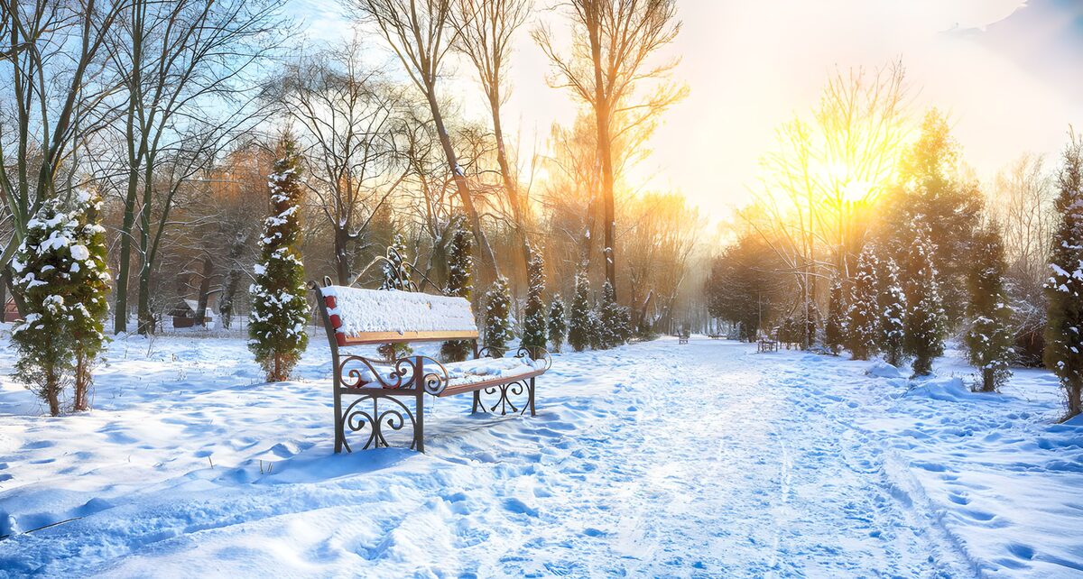 TPES78195: Banco y camino bajo la nieve