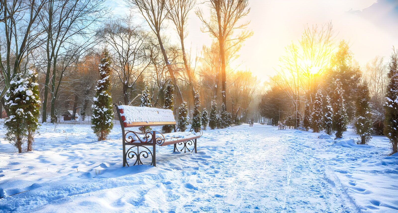TPES78195: Banco y camino bajo la nieve