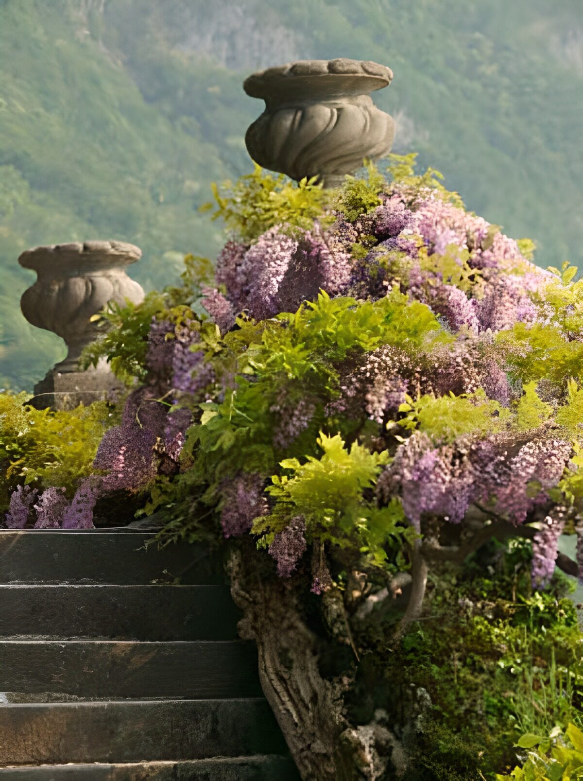 TPES47920: Escalera de piedra entre flores y verdor