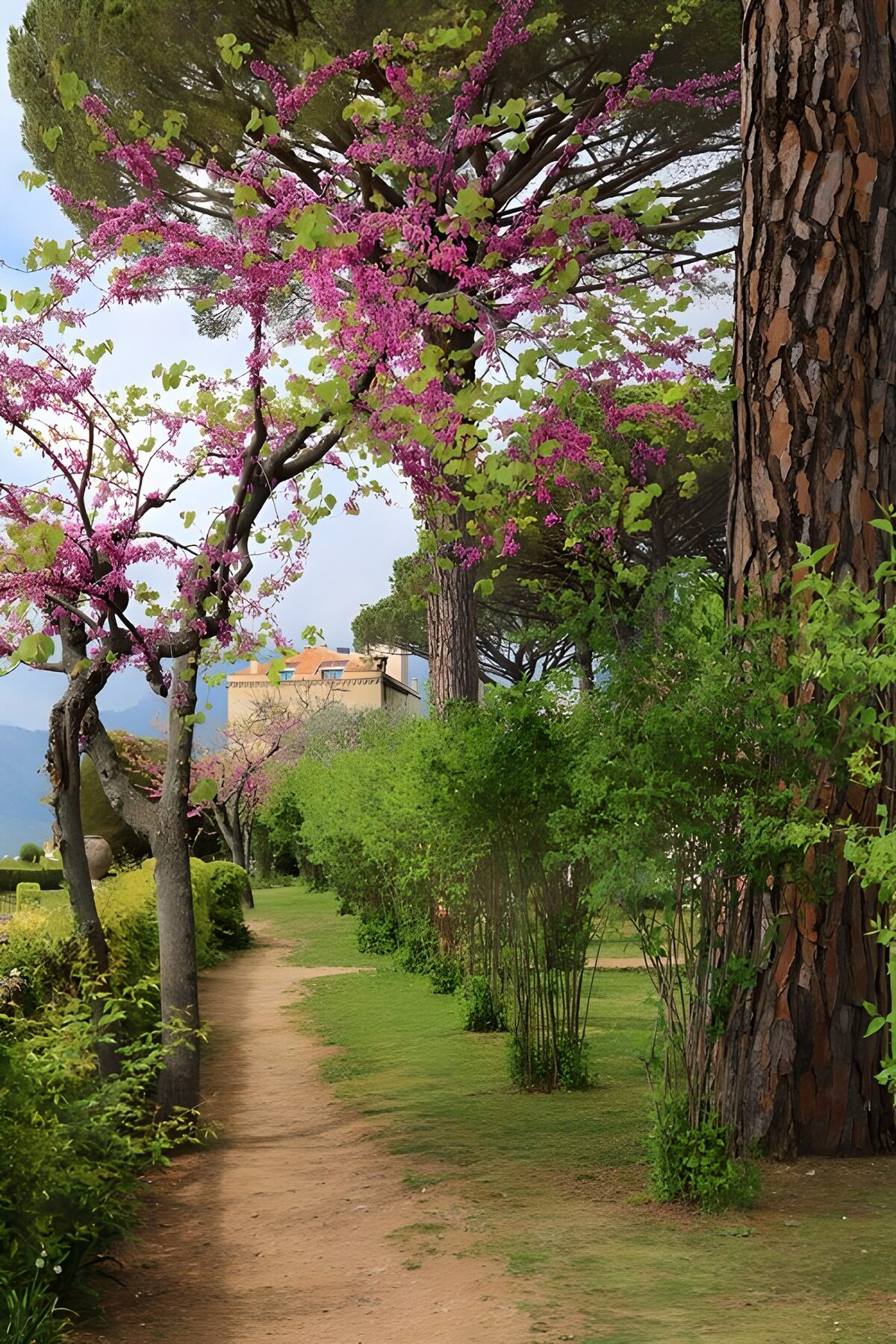 Sendero entre pinos y flores rosas