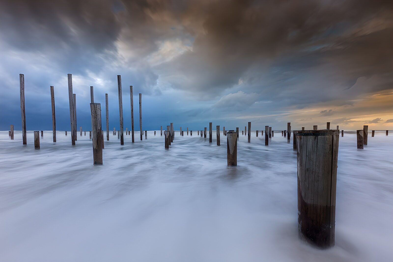TPES54561: El mar guarda un bosque de madera