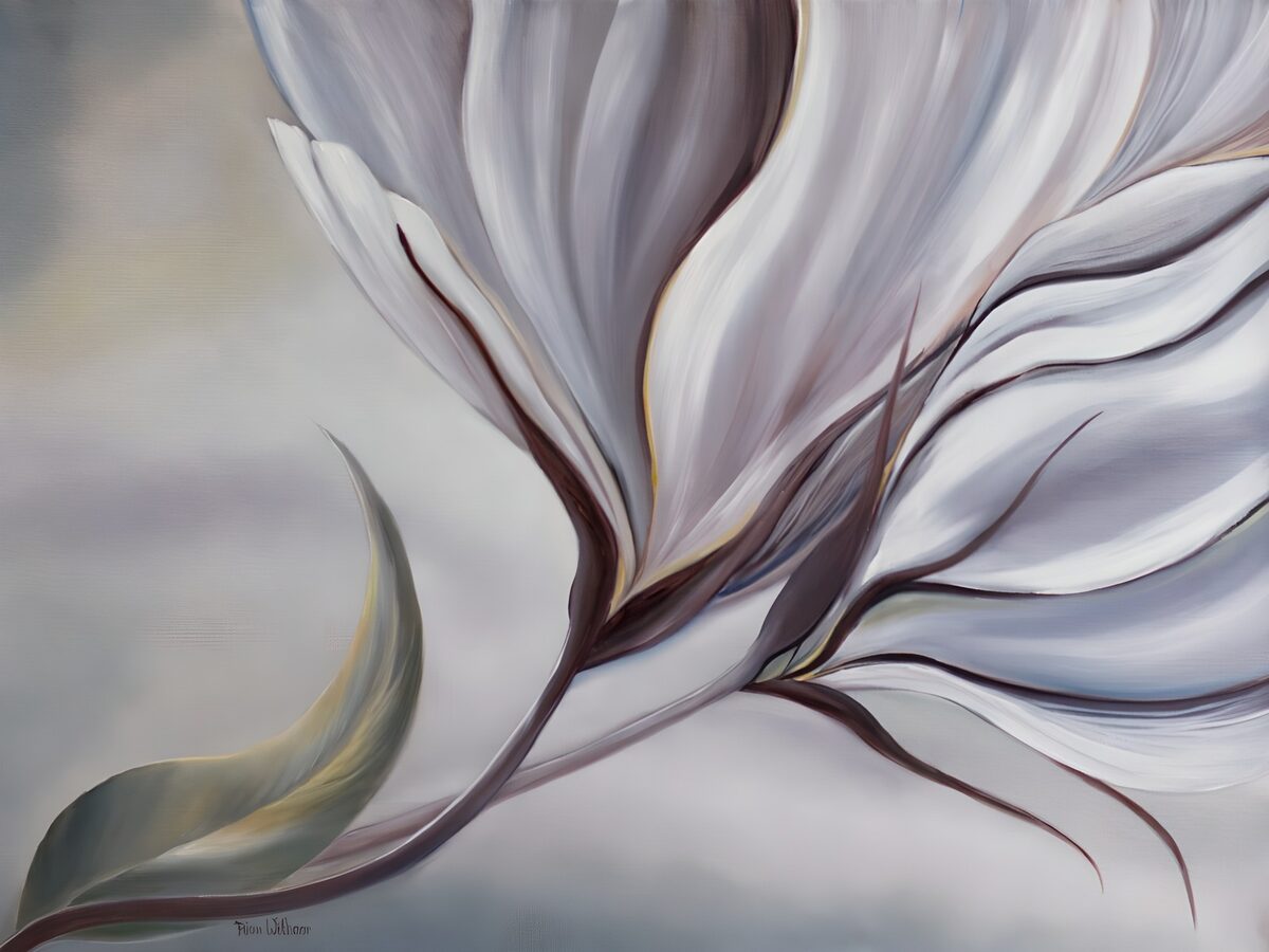 Flor blanca y malva de suaves pliegues