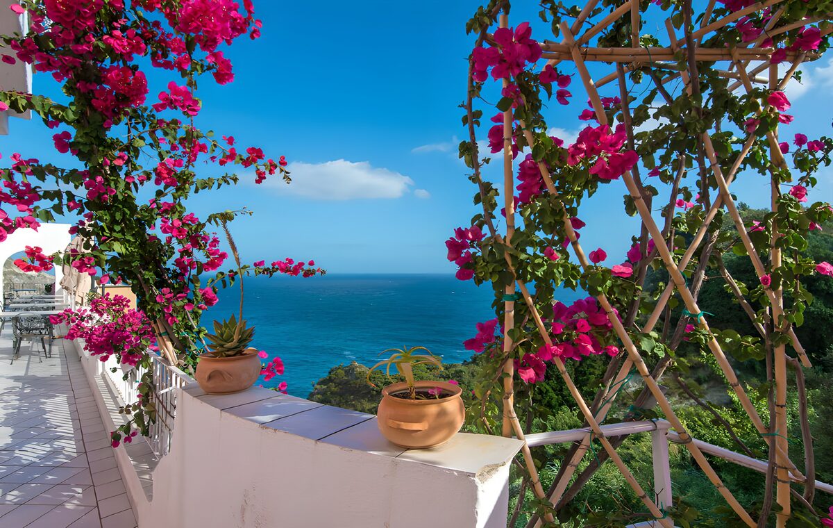 Terraza con buganvillas frente al mar