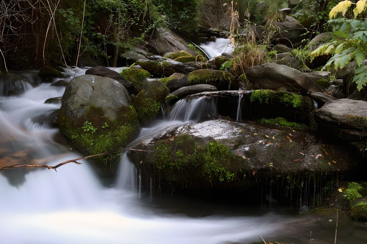 Cascadas de seda a la sombra del bosque