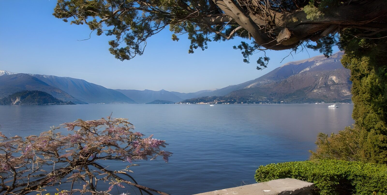 TPES28776: Lago en calma entre montañas y flores
