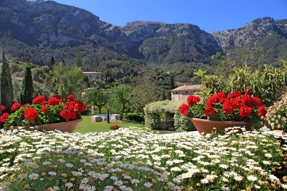 Jardín soleado con flores y montañas