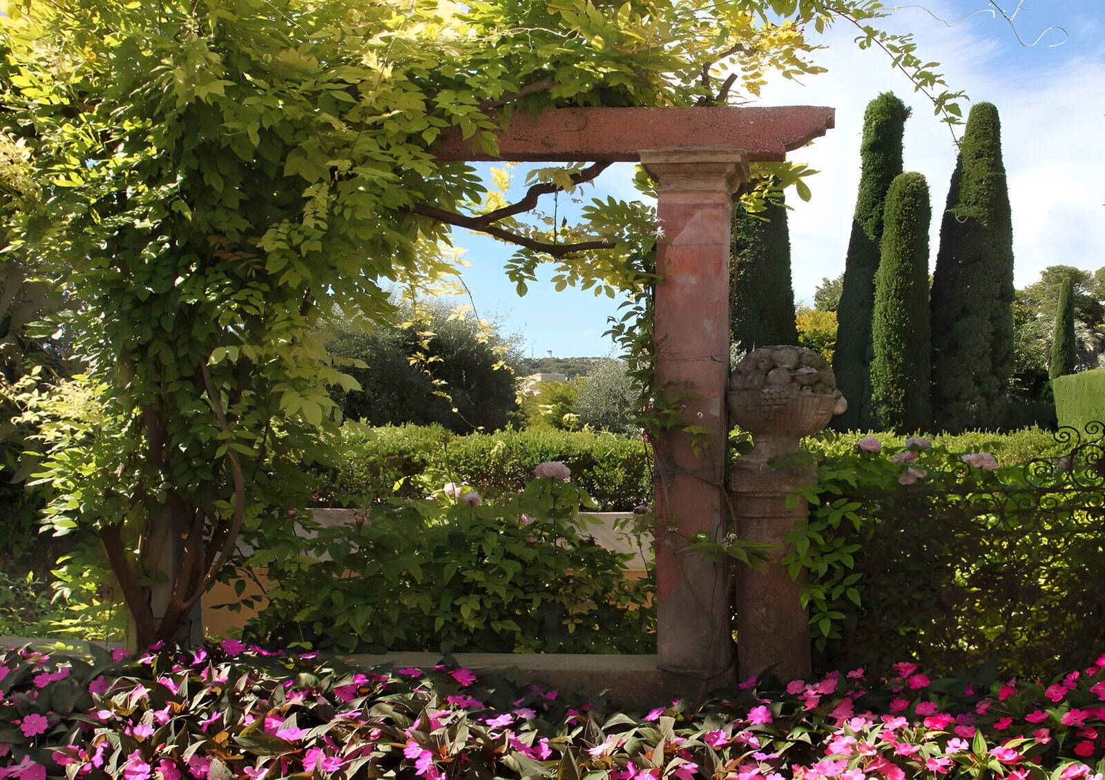 TPES19120: Jardín con pérgola y flores rosas
