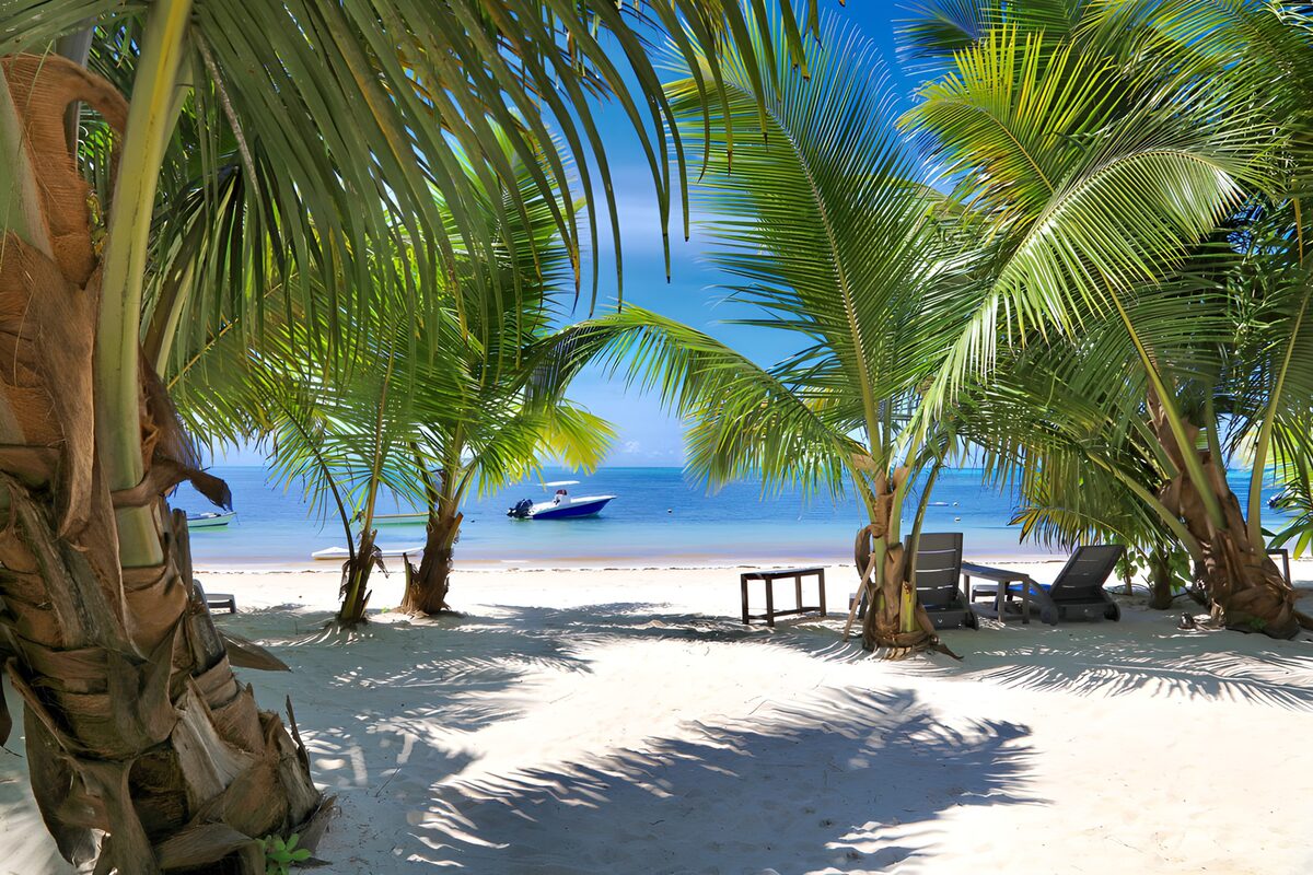 TPES95109: Playa tropical con palmeras y tumbonas