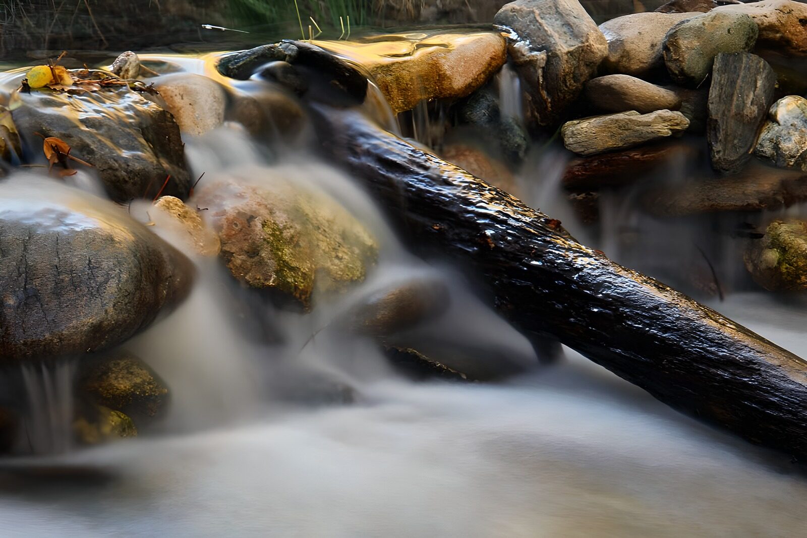 TPES35772: Arroyo entre rocas, a la sombra del tronco