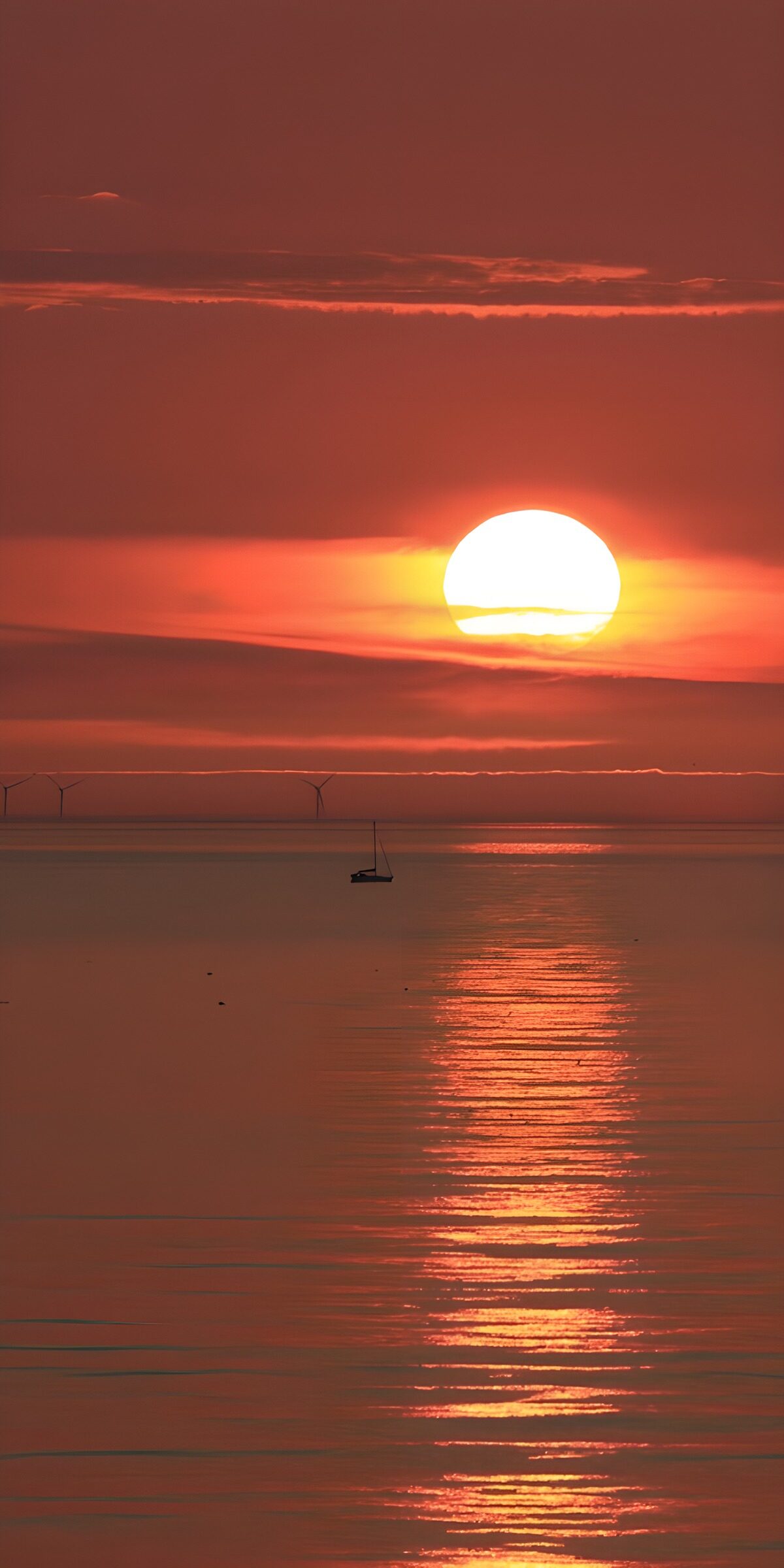 TPES39033: Velero al atardecer sobre un mar en calma
