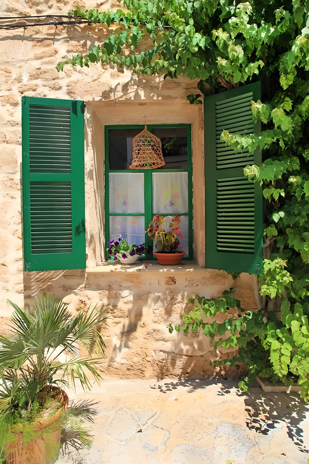Ventana verde entre piedra y macetas