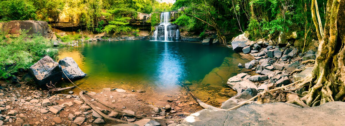 Cascada y poza entre rocas y bosque