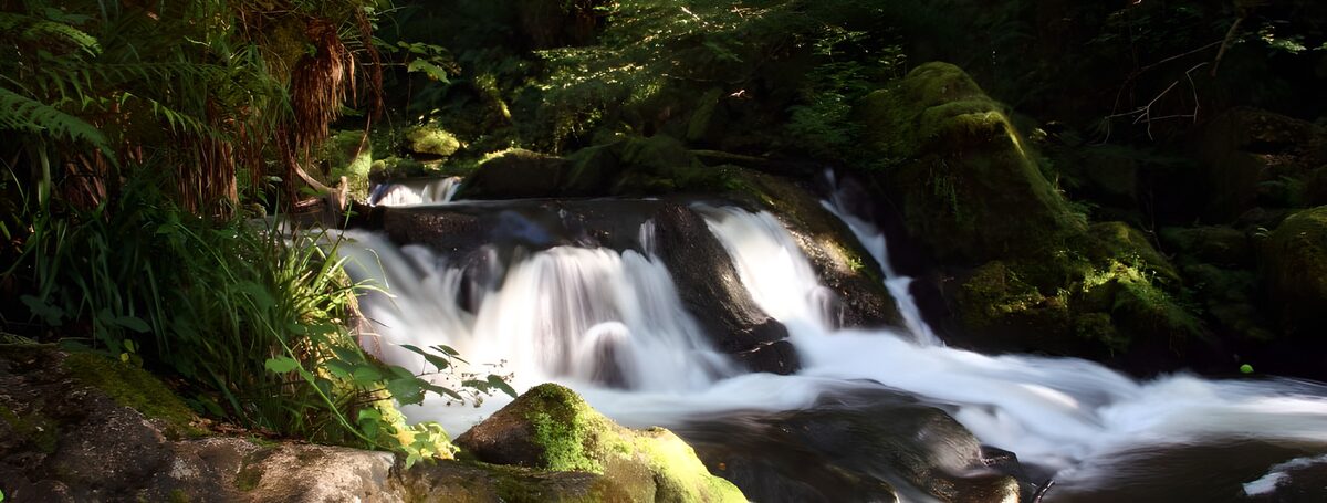 TPES72050: Cascadas entre rocas y musgo del bosque
