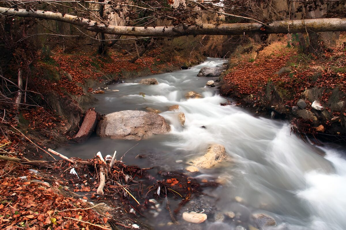 TPES61023: El arroyo hace cosquillas a las rocas