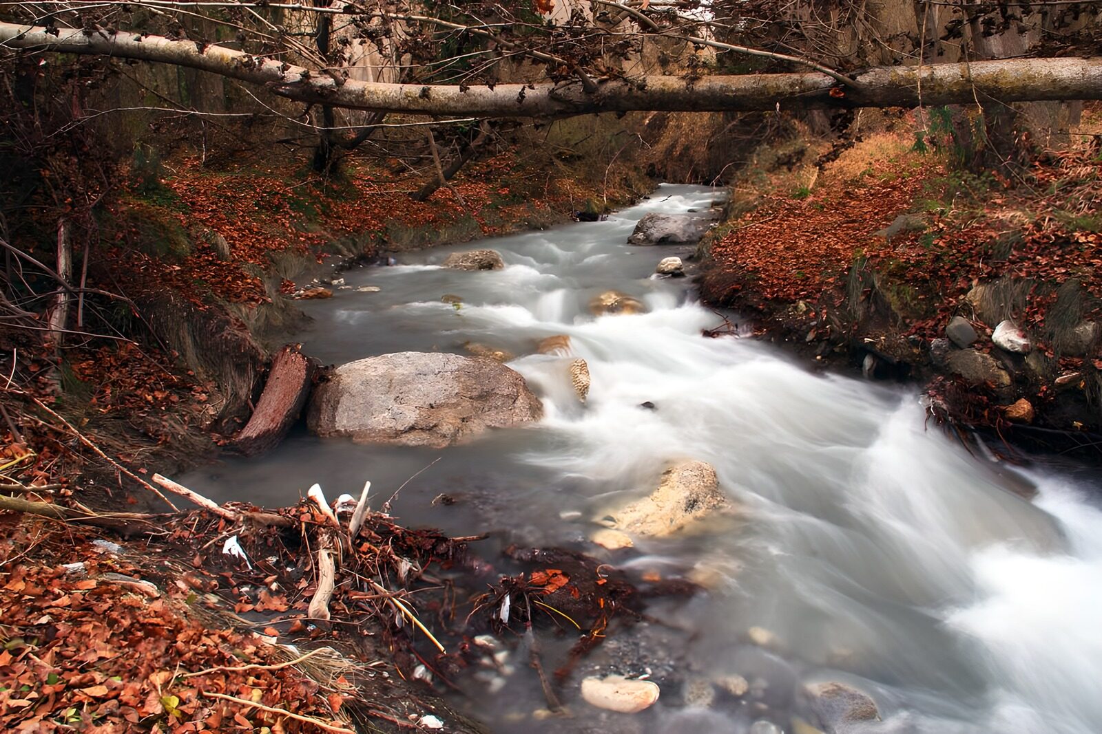 TPES61023: El arroyo hace cosquillas a las rocas