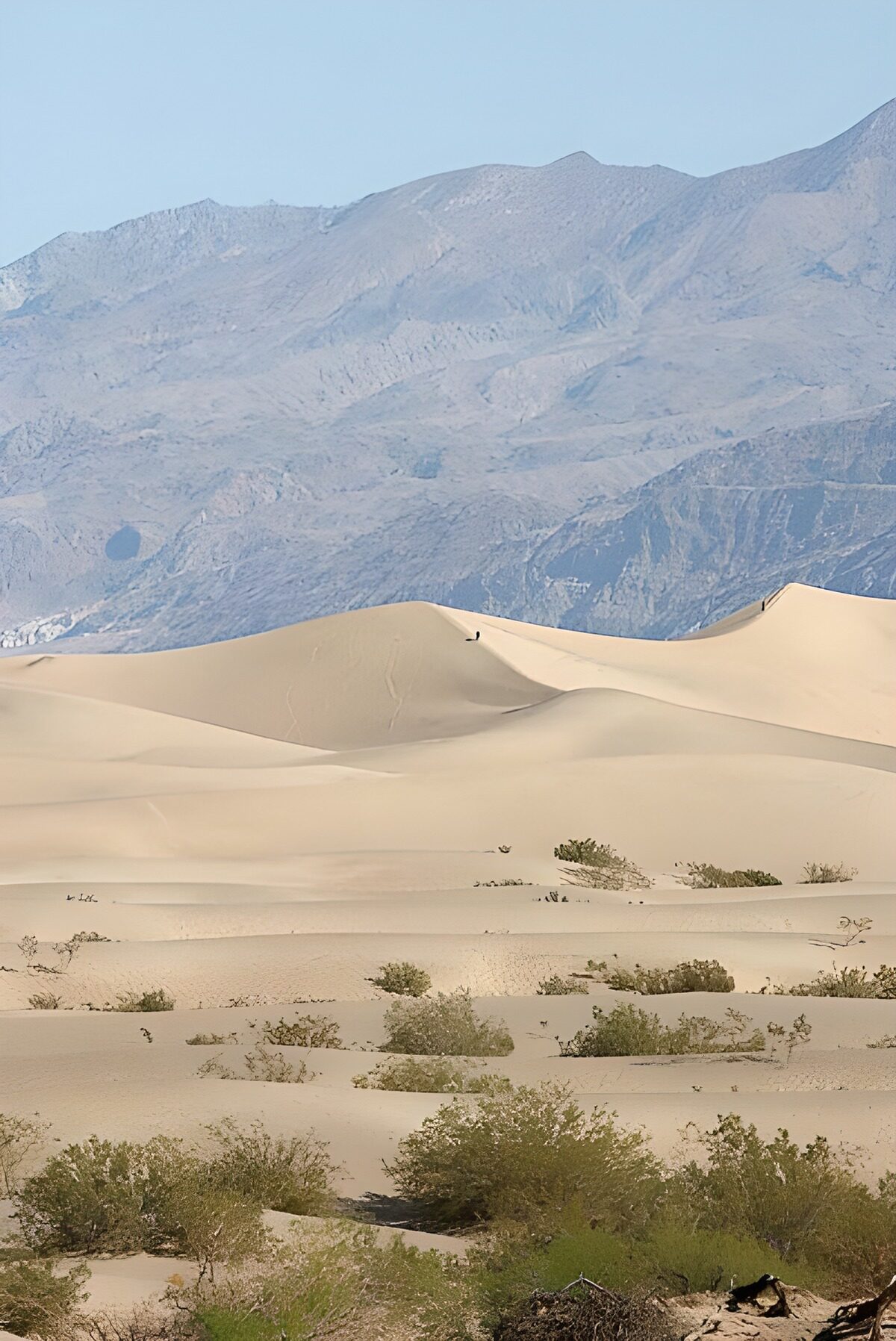 Dunas doradas al pie de las montañas