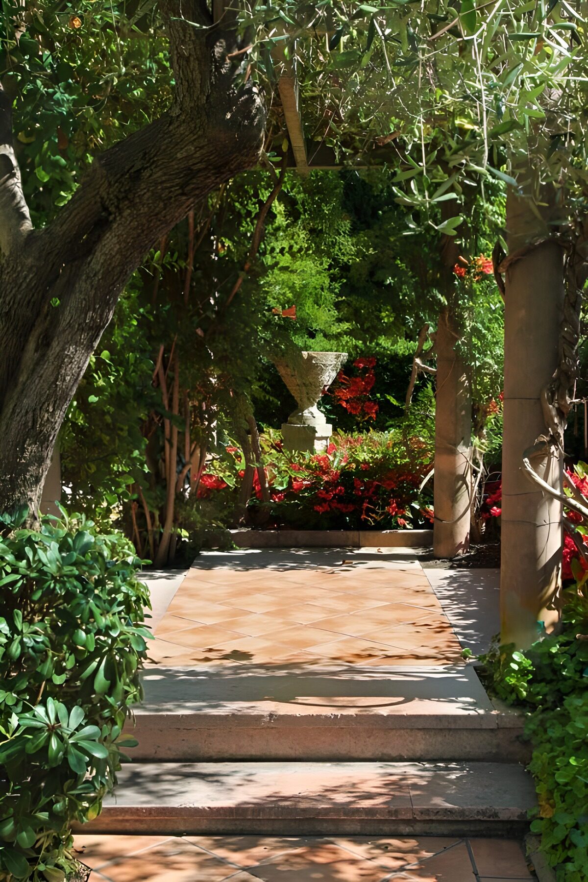 TPES38947: Terraza de terracota a la sombra