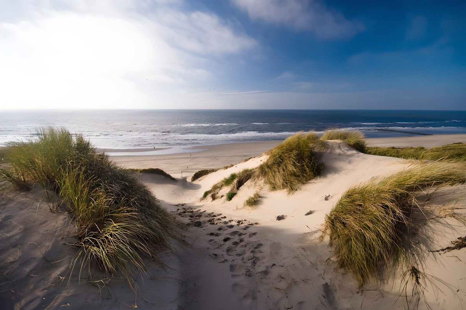 TPES47553: Sendero entre dunas hacia el mar