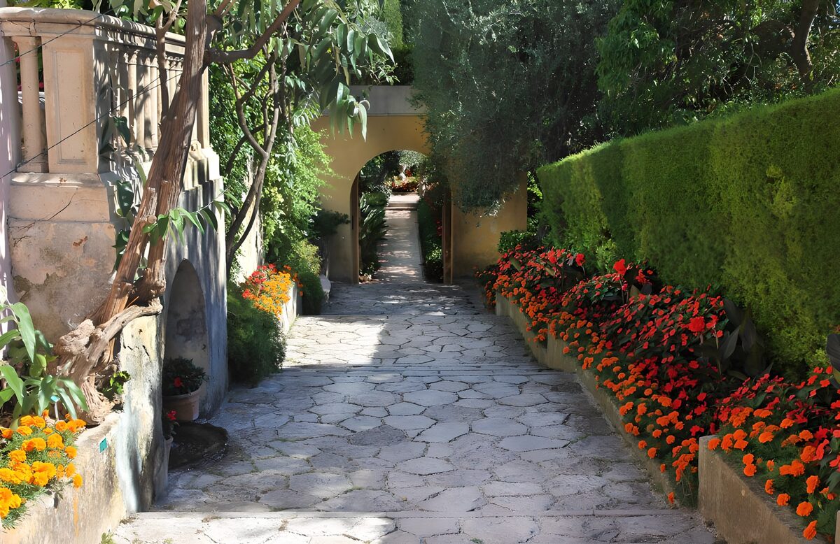 TPES23729: Camino de piedra entre flores al sol