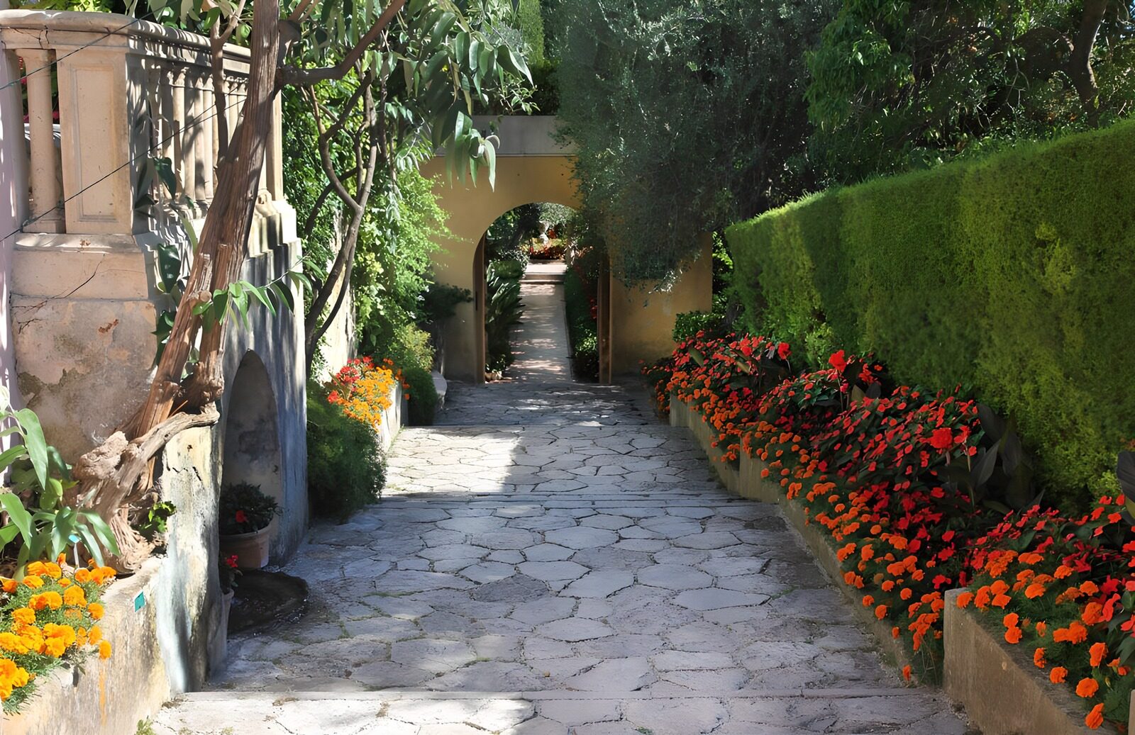 TPES23729: Camino de piedra entre flores al sol