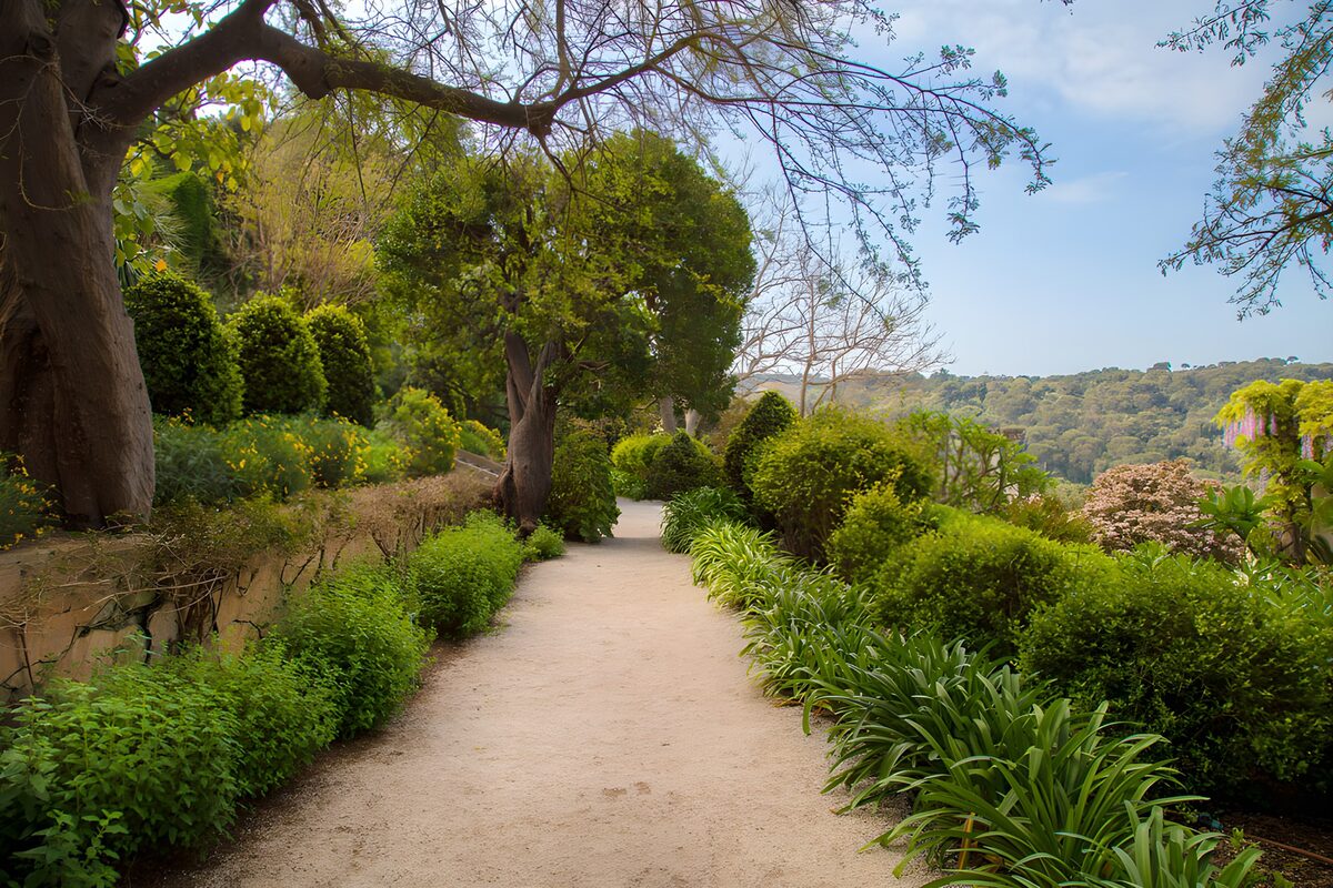 TPES22982: Sendero de grava en un jardín tranquilo