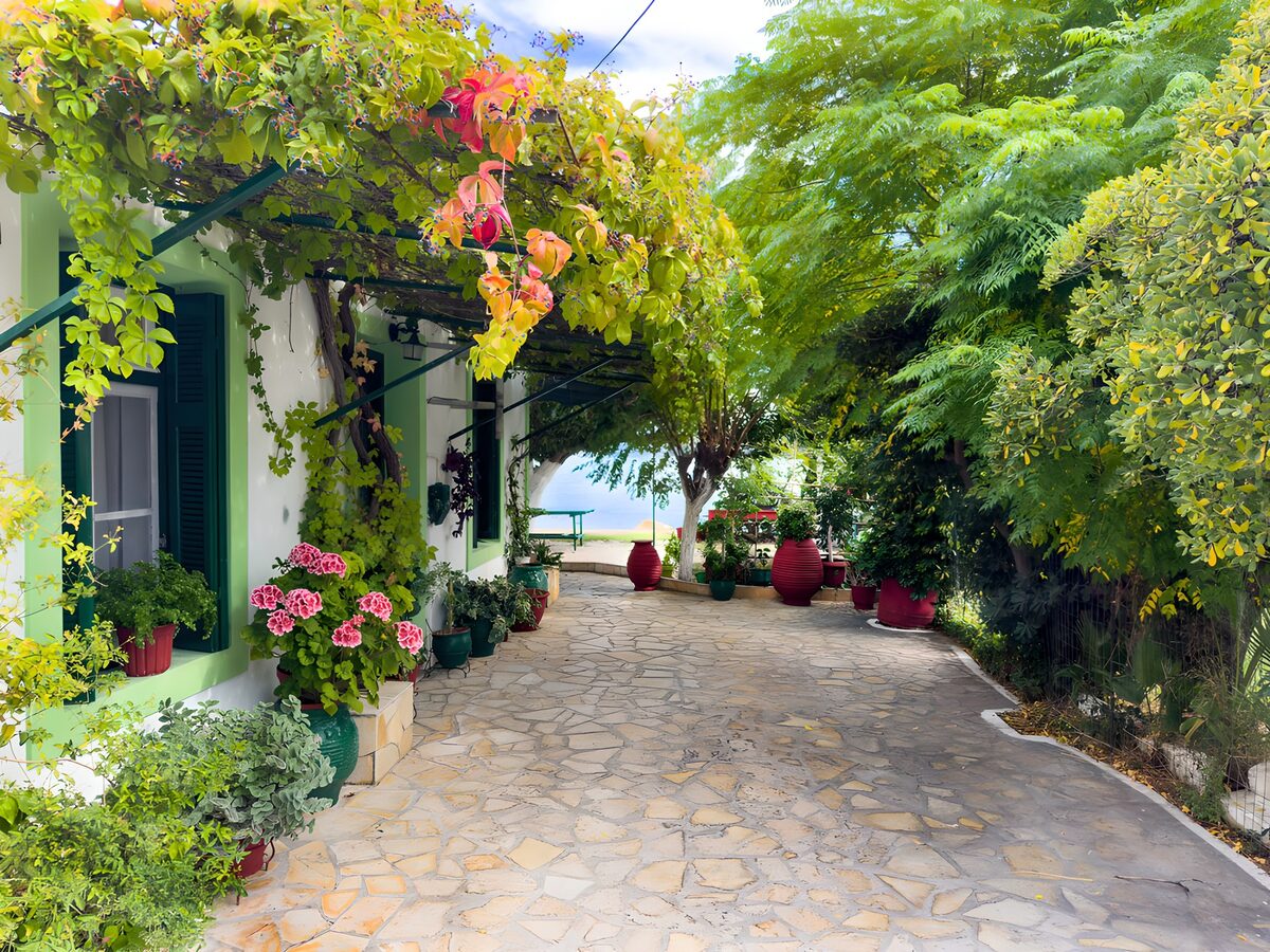 Entre hojas, el patio se asoma al mar