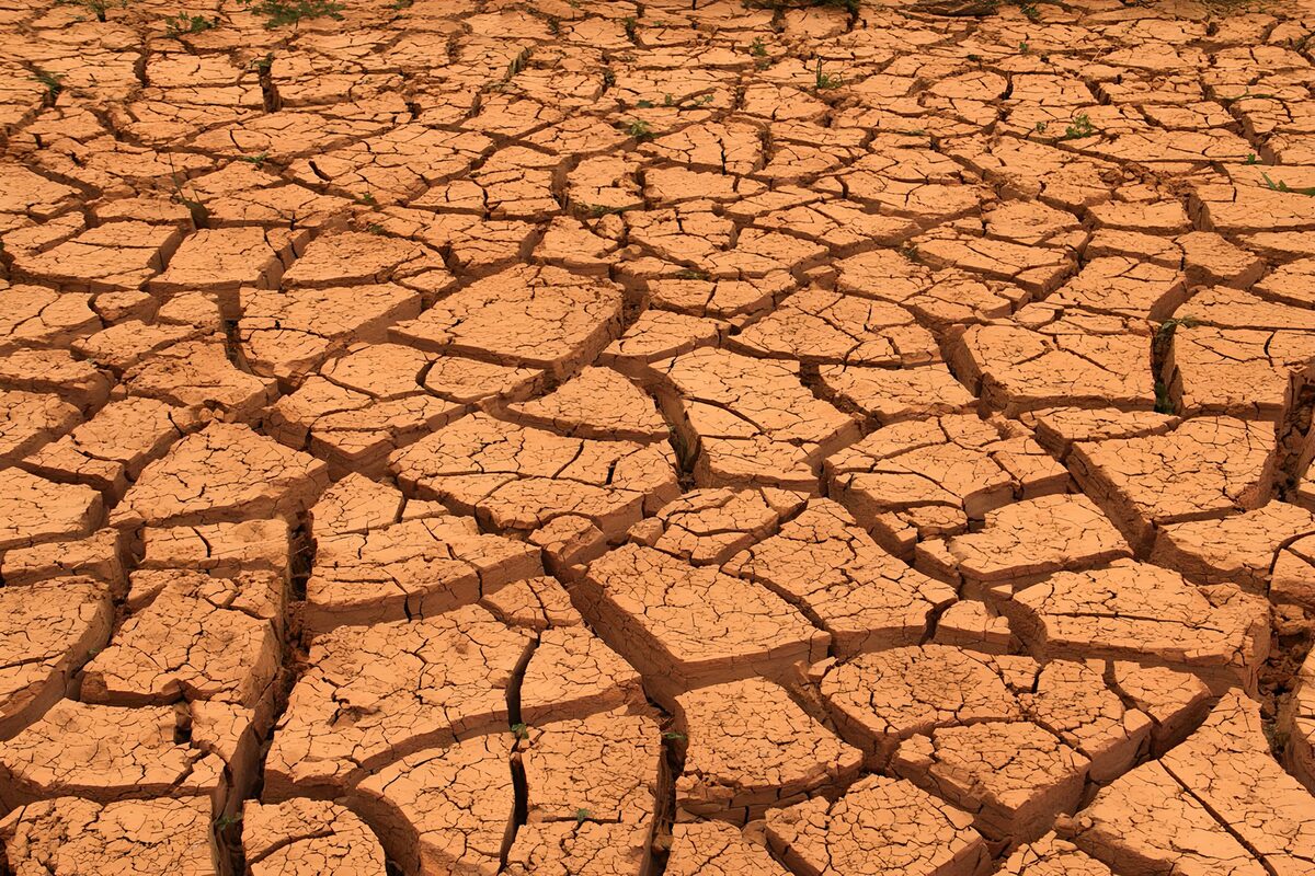 Tierra agrietada bajo el sol