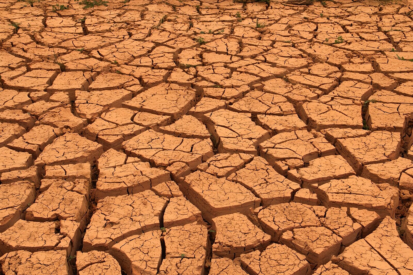 TPES24106: Tierra agrietada bajo el sol