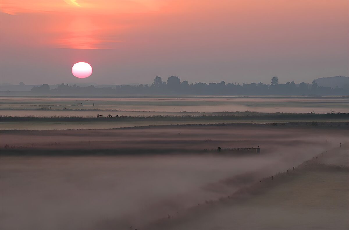 Amanecer entre campos de niebla