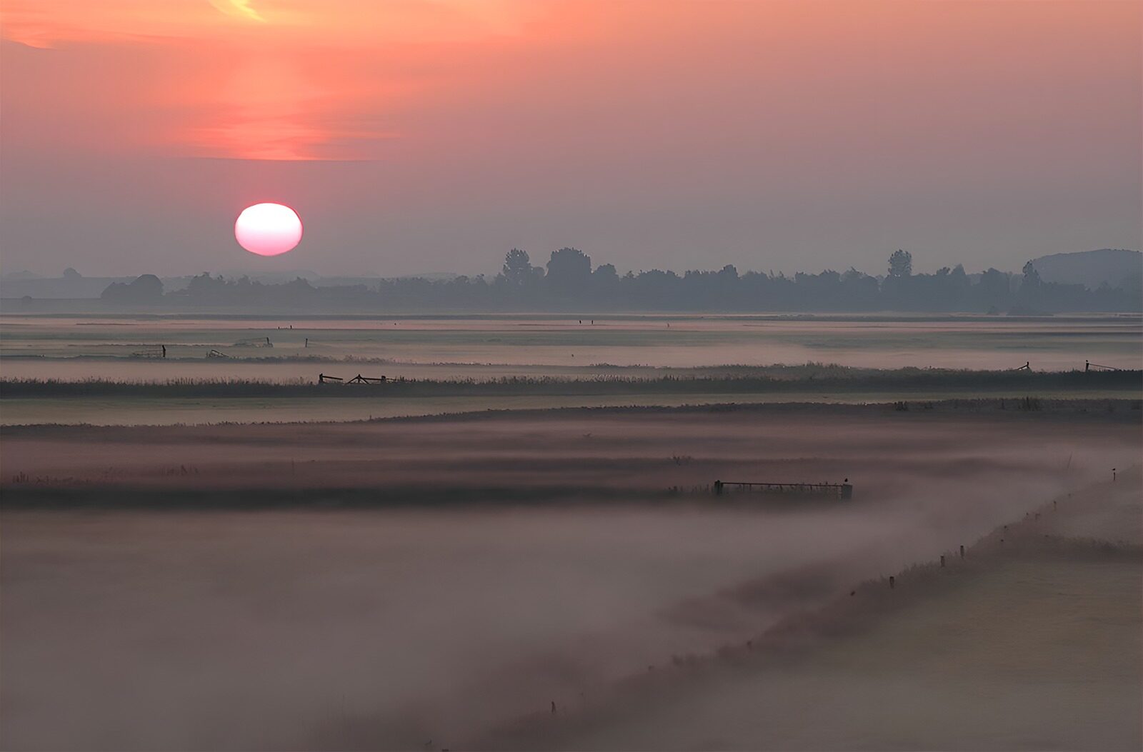 TPES98269: Amanecer entre campos de niebla