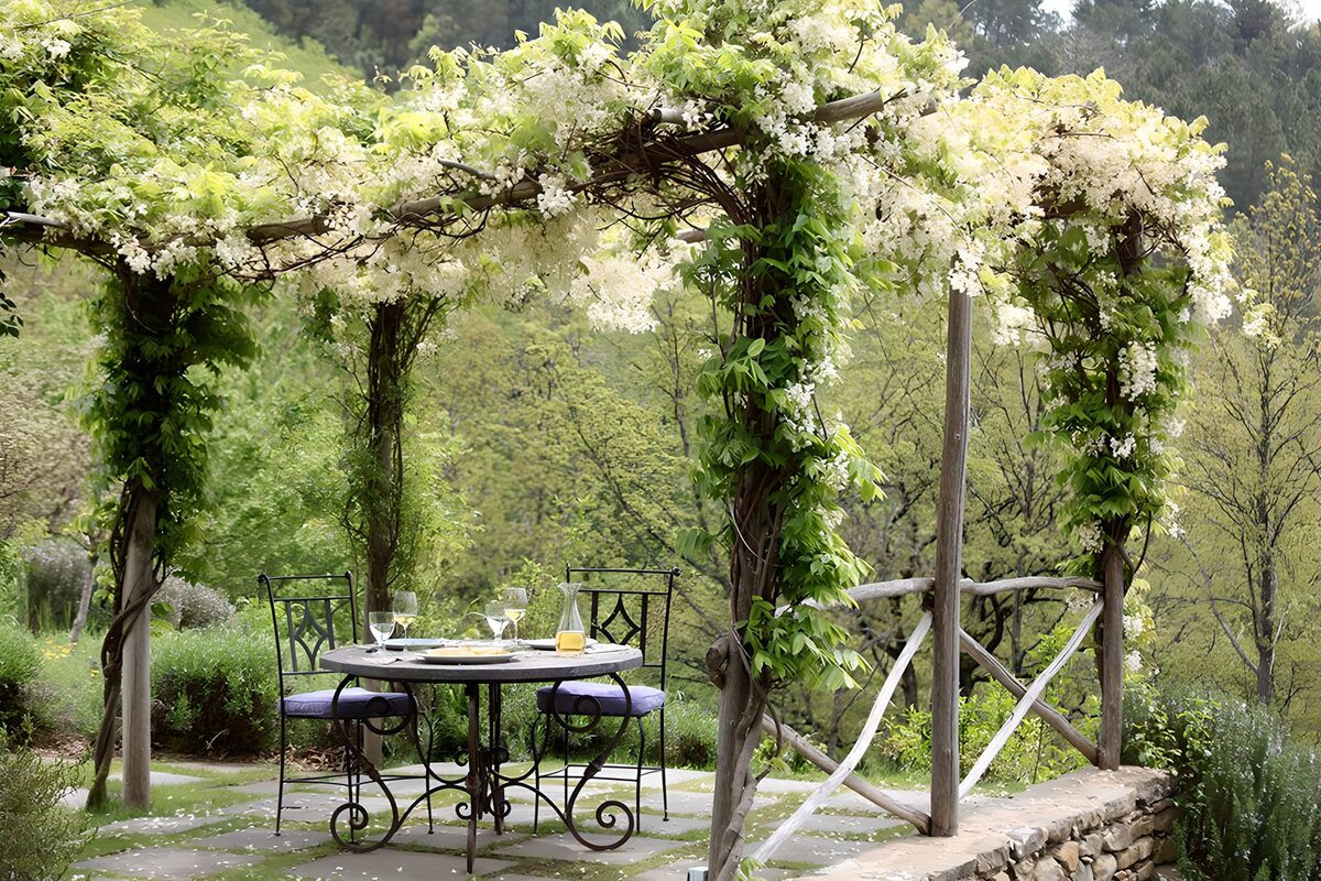 TPES47164: Mesa puesta bajo la pérgola en flor