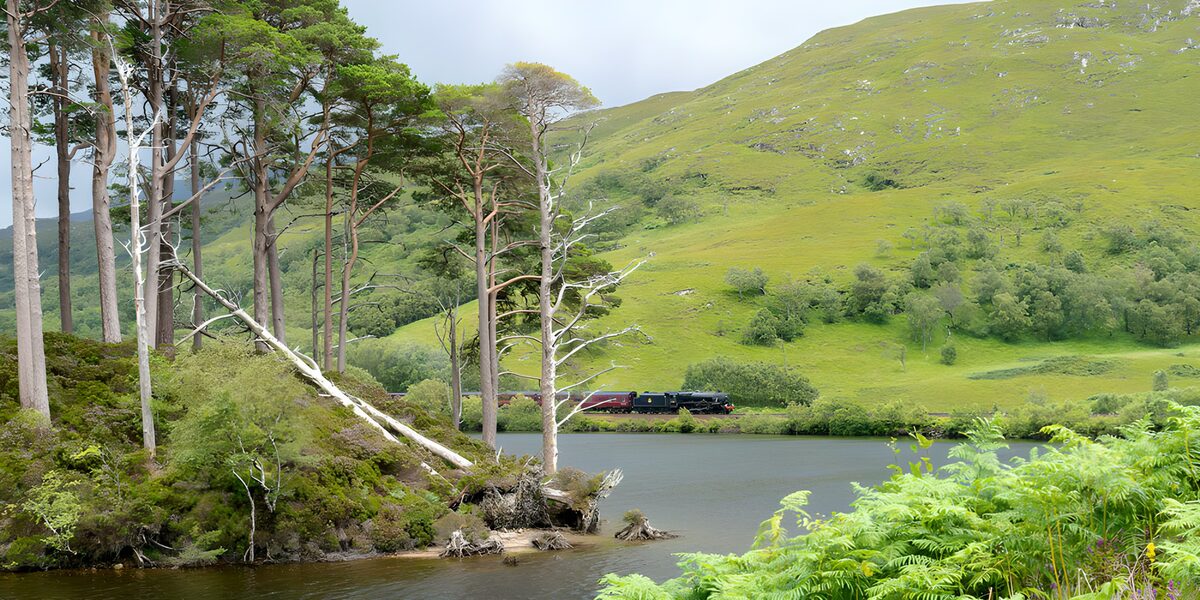 Tren de vapor junto al lago en calma