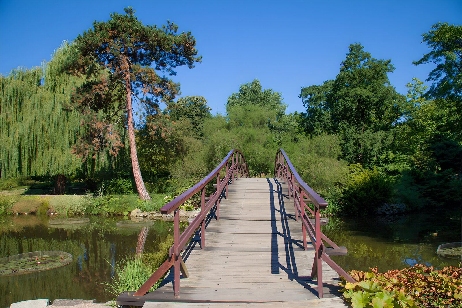 TPES59649: Puente de madera sobre el estanque en calma