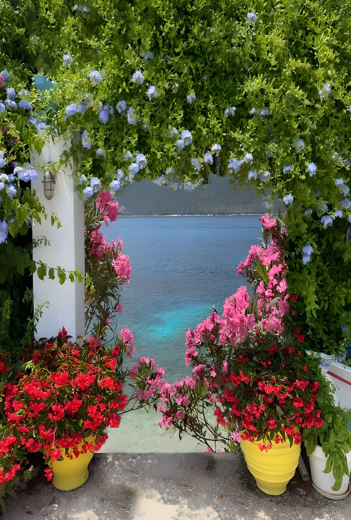 El mar se asoma entre flores