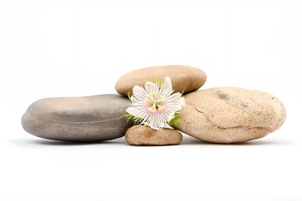 Pasiflora blanca y piedras en calma
