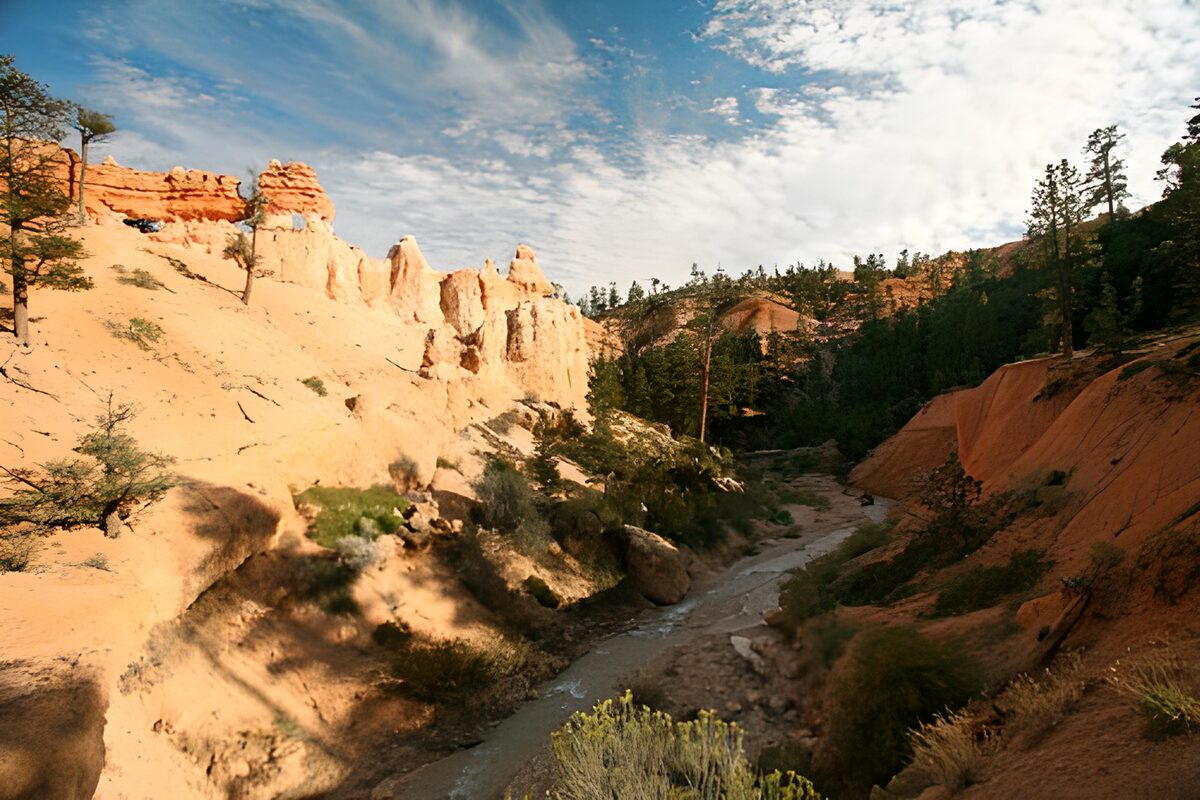 Arroyo entre paredes de roca roja