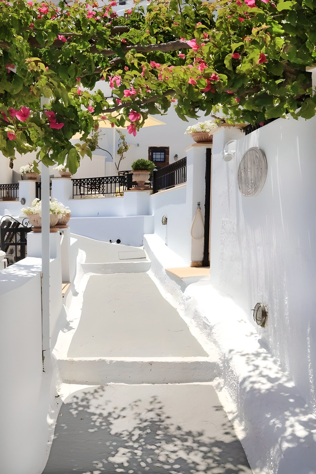 Escaleras blancas bajo la buganvilla